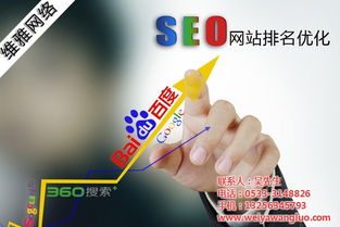 臨淄優(yōu)化 優(yōu)化技術 維雅網絡 認證商家 高清圖片 高清大圖